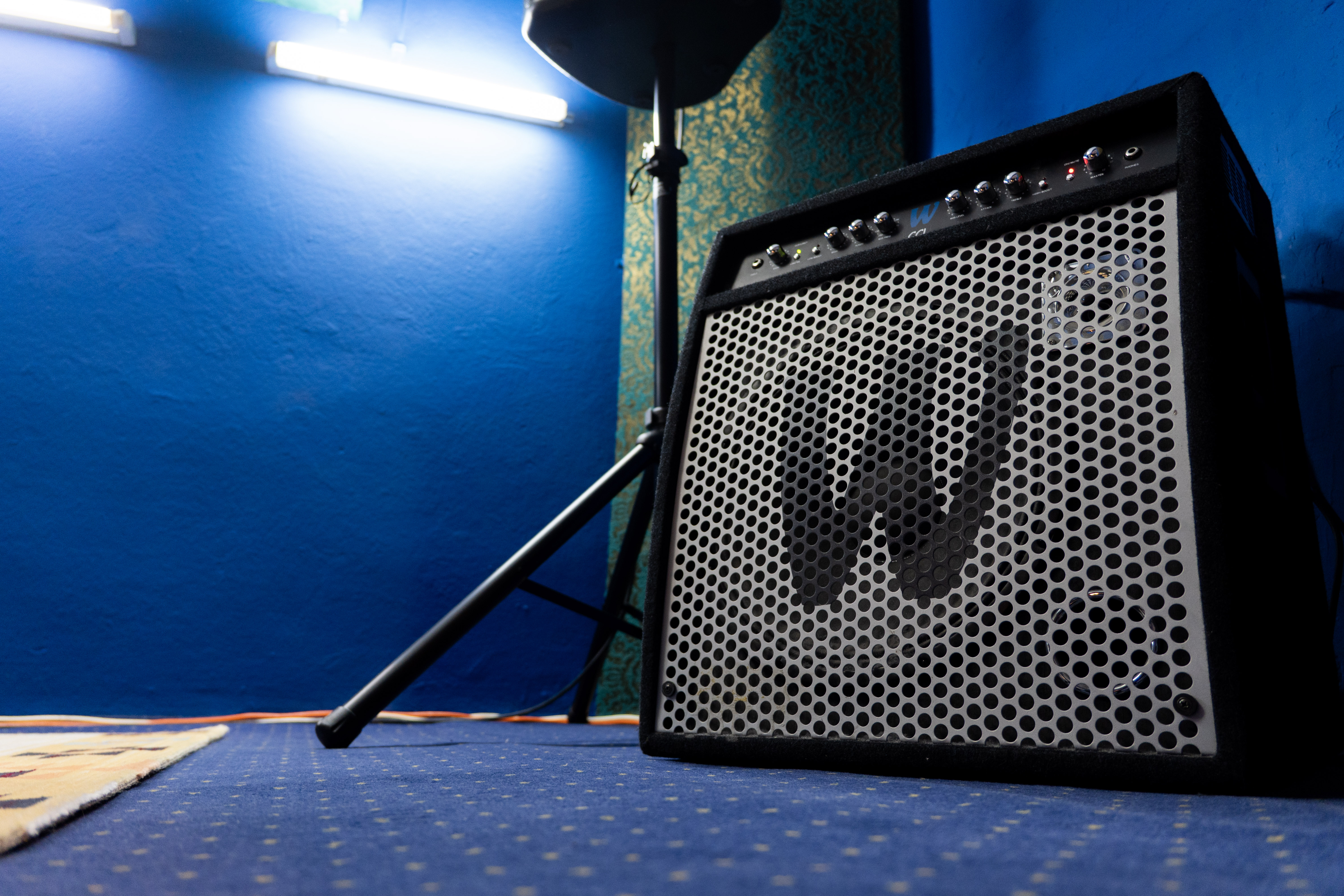 Pojačalo za bas gitaru